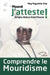 Comprendre le mouridisme: Maané J'atteste ! Serigne Abdoul Ahad Mbacké by Mag Maguette Diop