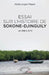 Essai sur l'histoire de Sokone-Djinguily de 1860 à 2013 by Mbaye Abdoulaye