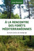 A la rencontre des forêts méditerranéennes: Quarante années de témoignage by Jean Bonnier