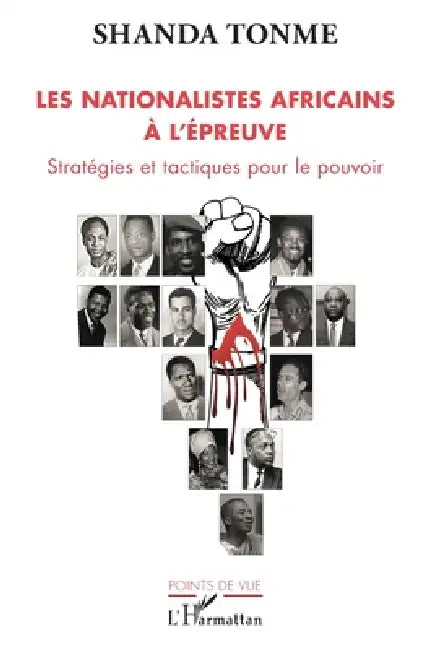 Les nationalistes africains à l'épreuve: Stratégies et tactiques pour le pouvoir by Shanda Tonme
