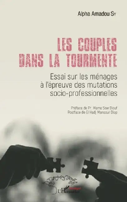 Les couples dans la tourmente: Essai sur les ménages à l'épreuve des mutations socio-professionneles by Alpha Amadou Sy
