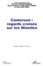 Cameroun: regards croisés sur les Nineties by Fouelefack Tsamo Denis Christian, Meli Meli Vivien, Pokam Kamdem Williams