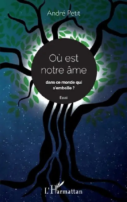 Où est notre âme dans ce monde qui s'emballe ? Essai by Petit Andre