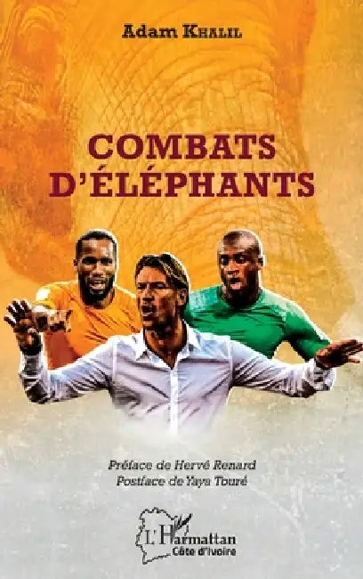 Combats d'éléphants by Khalil Adam