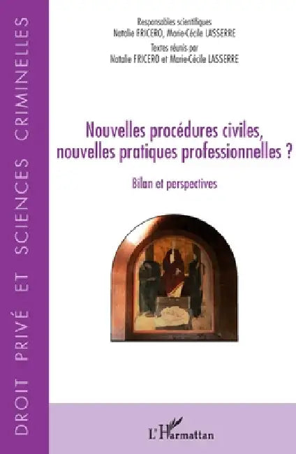 Nouvelles procédures civiles, nouvelles pratiques professionnelles ?: Bilan et perspectives by Fricero Natalie, Lasserre Marie Cecile