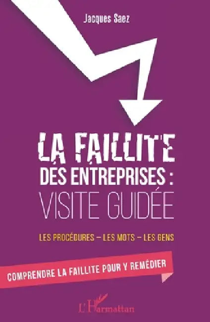 La faillite des entreprises: Visite guidée: Les procédures - les mots - les gens Comprendre la faillite pour y remédier by Saez Jacques