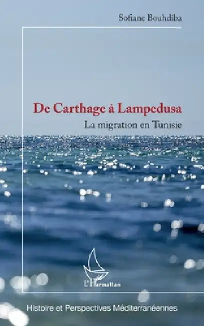 De Carthage à Lampedusa: La migration en Tunisie by Sofiane Bouhdiba
