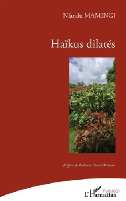 Haïkus dilatés by Mamingi Nlandu