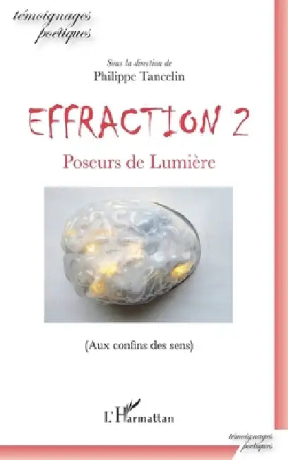 Effraction 2: Poseurs de Lumière (Aux confins des sens) by Philippe Tancelin