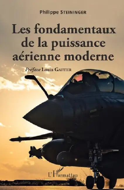 Les fondamentaux de la puissance aérienne moderne by Philippe Steininger