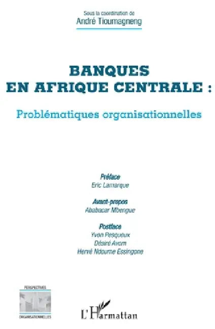 Banques en Afrique centrale: problématiques organisationnelles by André Tioumagneng Tafam