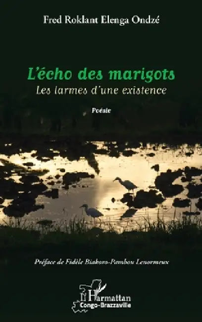 L'écho des marigots: Les larmes d'une existence by Elenga Ondze Fred Roklant