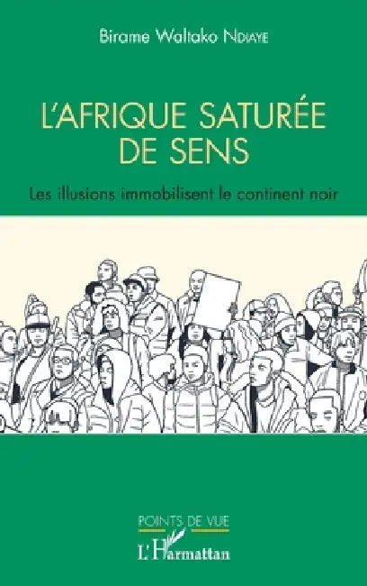 L'Afrique saturée de sens: Les illusions immobilisent le continent noir by Ndiaye Birame Waltako