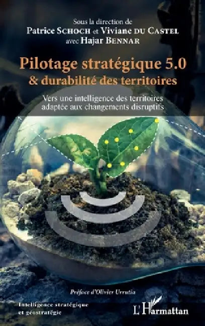 Pilotage stratégique 5.0 et durabilité des territoires: Vers une intelligence des territoires adaptée aux changements disruptifs by Viviane Du Castel, Schoch Patrice, Bennar Hajar
