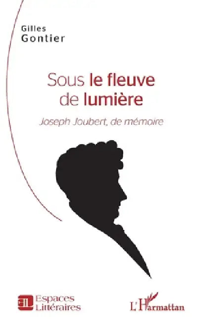 Sous le fleuve de lumière: Joseph Joubert, de mémoire by Gilles Gontier