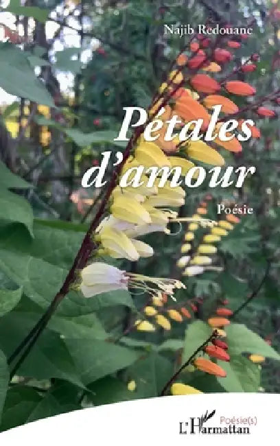 Pétales d'amour by Najib Redouane