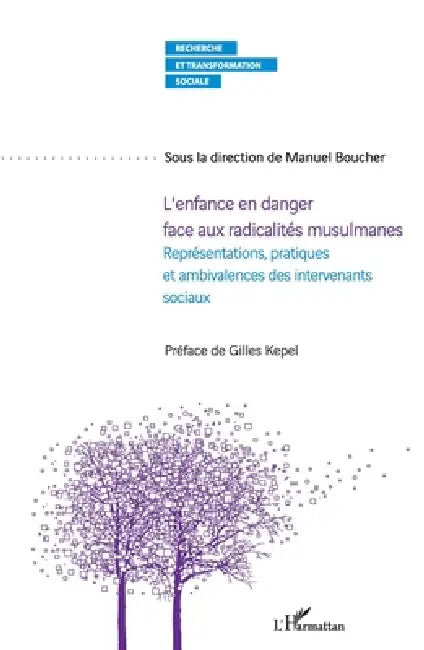 L'enfance en danger face aux radicalités musulmanes: Représentations, pratiques et ambivalences des intervenants sociaux by Manuel Boucher
