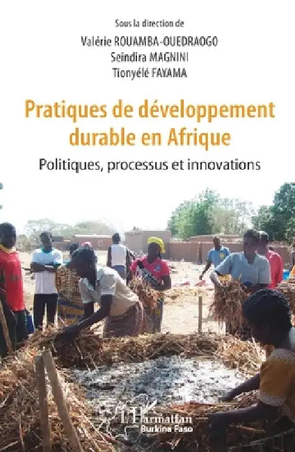 Pratiques de développement durable en Afrique: Politiques, processus et innovations by Valerie Ouedraogo Rouamba, Tionyélé Fayama, Magnini Seindira