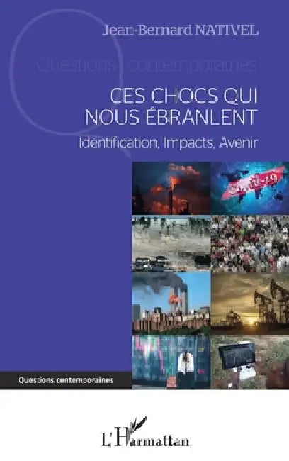 Ces chocs qui nous ébranlent: Identification, Impact, Avenir by Jean Bernard Nativel