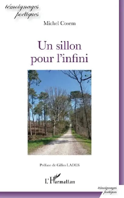 Un sillon pour l'infini by Cosem Michel