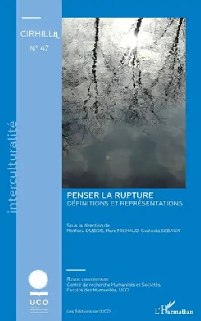 Penser la rupture: Définitions et représentations by Na