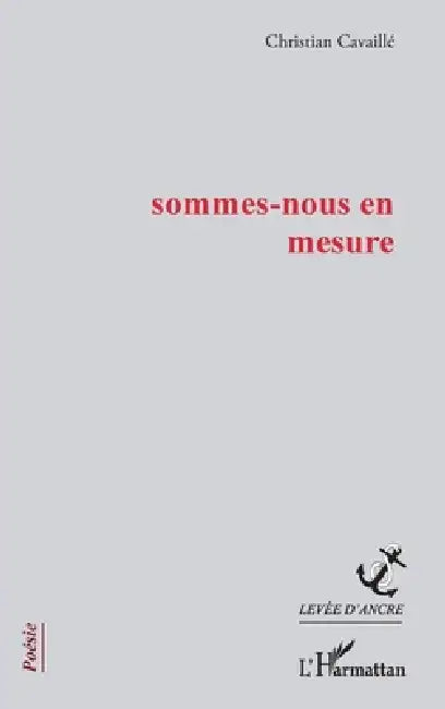 sommes-nous en mesure by Christian Cavaillé