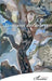 Tessitures des arbres by Daniel Faivre