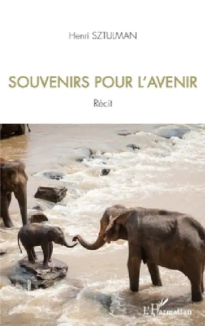 Souvenirs pour l'avenir by Henri Sztulman