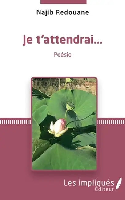 Je t'attendrai... by Najib Redouane
