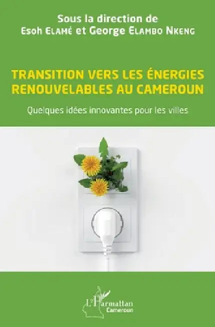 Transition vers les énergies renouvelables au Cameroun: Quelques idées innovantes pour les villes by Elame Esoh, Elambo Nkeng George