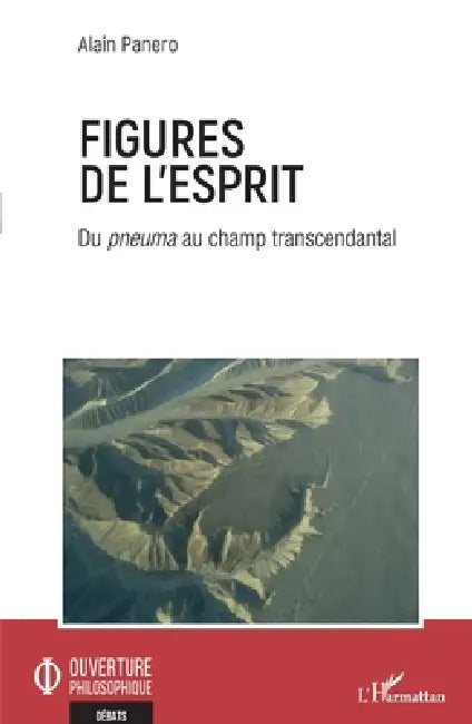 Figures de l'esprit: Du pneuma au champ transcendantal by Panero Alain
