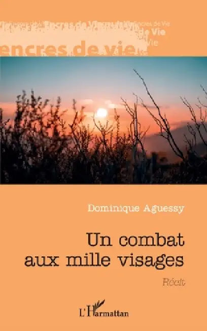 Un combat aux mille visages by Aguessy Dominique