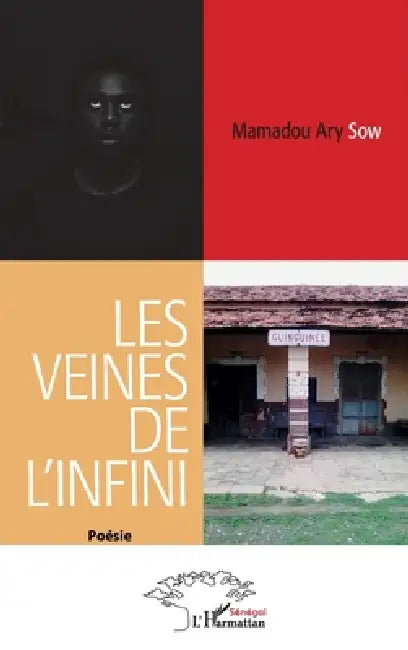 Les veines de l'infini by Mamadou Ary Sow