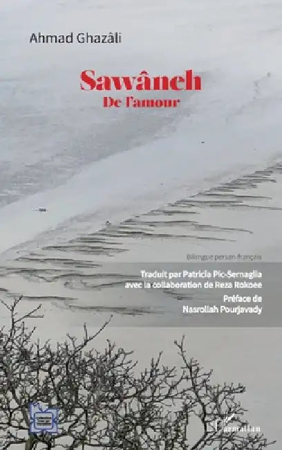 Sawâneh: De l'amour Bilingue persan-français by Patricia Pic-Sernaglia, Reza Rokoee, Nasrollah Pourjavady