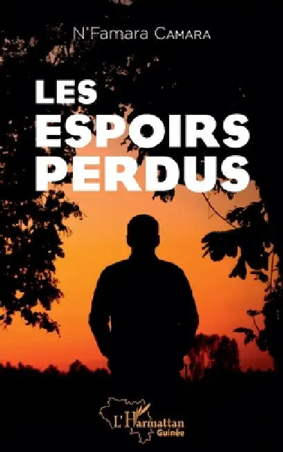Les espoirs perdus by N'Famara Camara