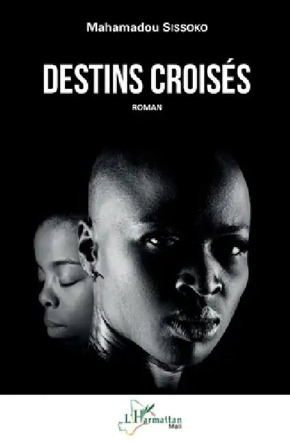 Destins croisés by Mahamadou Sissoko