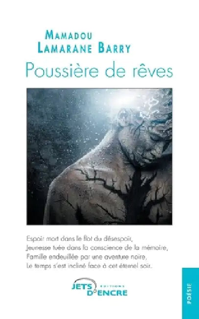 Poussière de rêves by Mamadou Lamarane Barry
