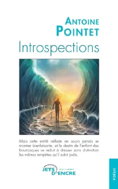 Introspections by Antoine Pointet