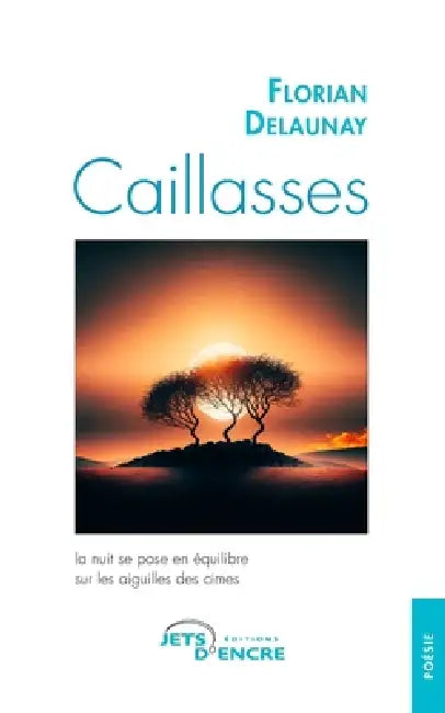 Caillasses by Florian Delaunay