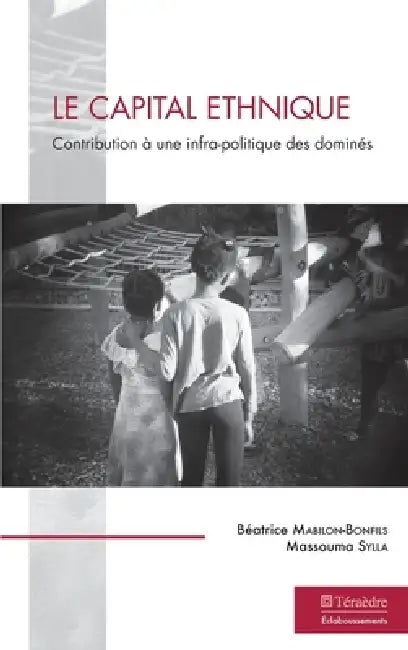 Le capital ethnique: Contribution à une infra-politique des dominés by Béatrice Mabilon-Bonfils, Sylla Massouma