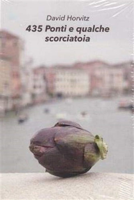 435 PONTI E QUALCHE SCORCIATOIA by David Horvitz