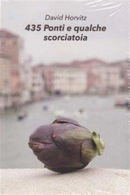 435 PONTI E QUALCHE SCORCIATOIA by David Horvitz