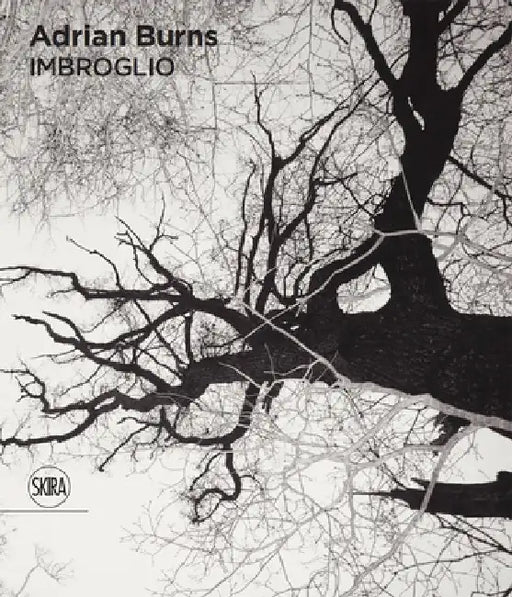 Adrian Burns: Imbroglio by Adrian Burns