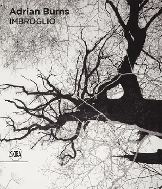 Adrian Burns: Imbroglio by Adrian Burns