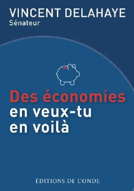 Des économies en veux-tu en voilà by Vincent Delahaye