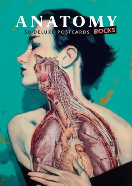 Anatomy Rocks: 30 Deluxe Postcards by Rodolphe Lachat
