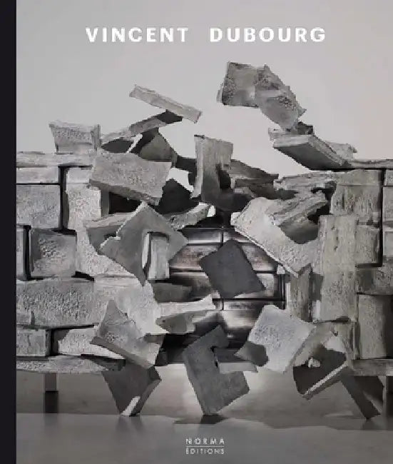 Vincent Dubourg by Anne Bony