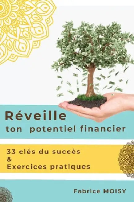 Réveille ton potentiel financier: 33 clés du succès & exercices pratiques by Fabrice Moisy