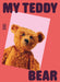 My Teddy Bear by Anne Monier
