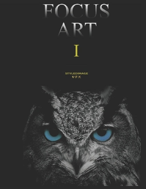 Focus Art 1: Styledimage Vfx by Styledimage Vfx, Tolgan Harden